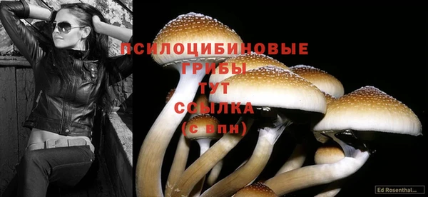 кокаин колумбия Вязьма