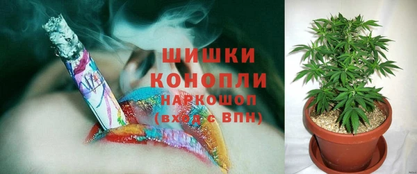 ECSTASY Вяземский